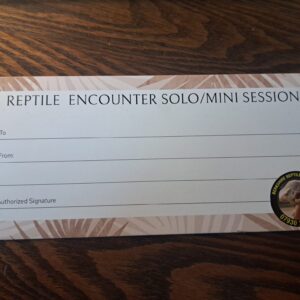 Berkshire Reptile Encounters