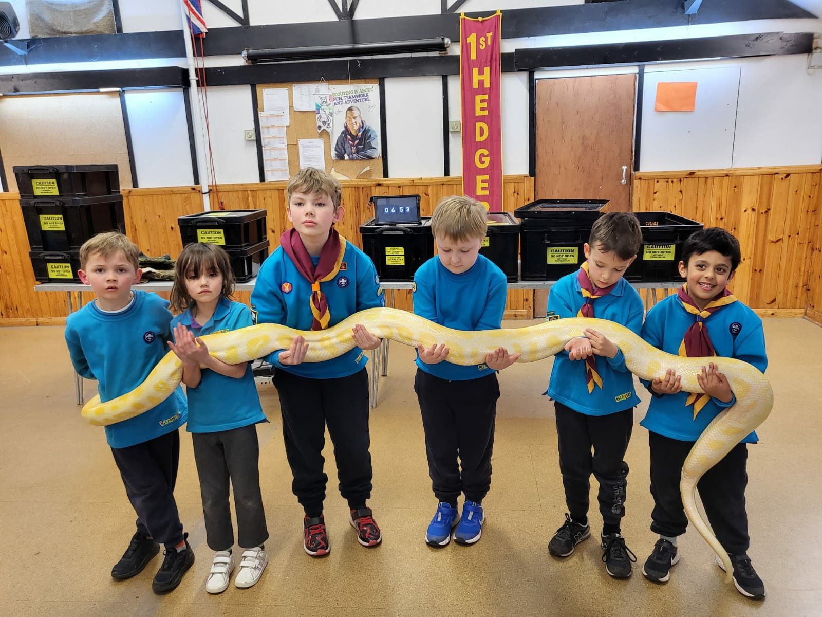 Why Children Learn Better Through Animal Encounters | Berkshire Reptile Encounters Berkshire Reptile Encounters