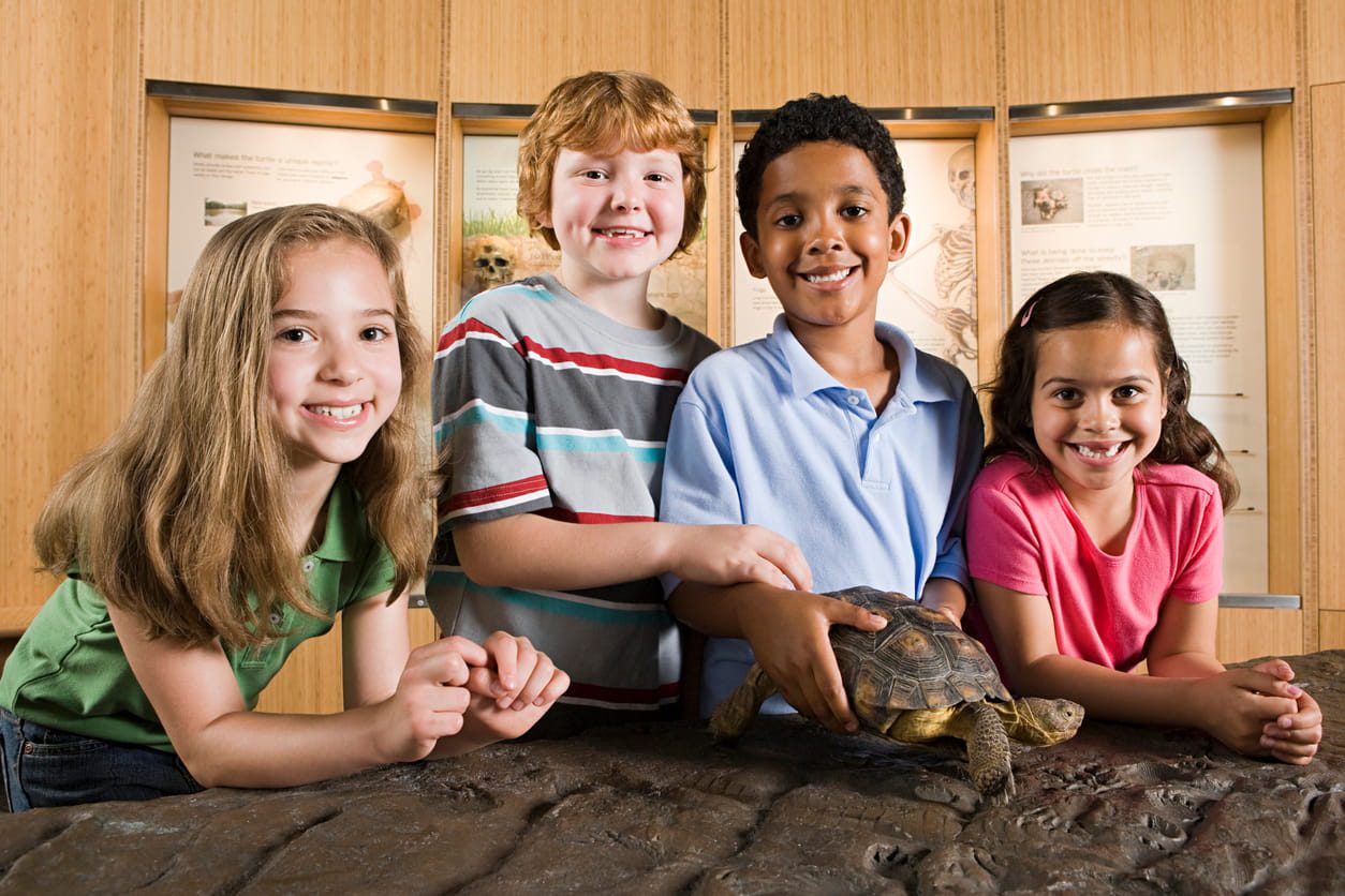 Why Children Learn Better Through Animal Encounters