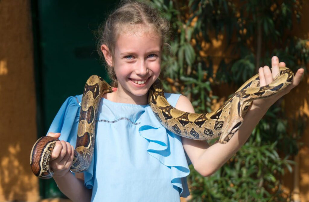 Are Reptiles Good Pets for Children? What Parents Need to Know | Berkshire Reptile Encounters girl holding pet snake